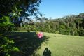 Property photo of 1 Forest Close Kuranda QLD 4881