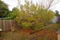 Property photo of 8 Loddon Court Clayton South VIC 3169