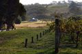 Property photo of 284 Main Creek Road Main Ridge VIC 3928