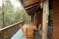 Property photo of 14 Higgins Place Westleigh NSW 2120