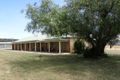 Property photo of 196 Packham Drive Molong NSW 2866