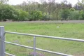 Property photo of LOT 57 Jessie Lane Murphys Creek QLD 4352