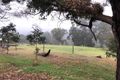 Property photo of 933 Reen Road Gidgegannup WA 6083