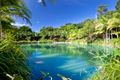 Property photo of 603 Tomewin Mountain Road Currumbin Valley QLD 4223