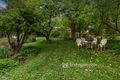 Property photo of 74 Beaconsfield-Emerald Road Emerald VIC 3782