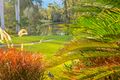 Property photo of 124 Balemo Drive Ocean Shores NSW 2483