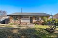 Property photo of 16 Aurora Close Mawson ACT 2607