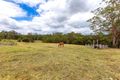 Property photo of 5 Wallaby Court Carters Ridge QLD 4563