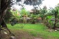 Property photo of 34 Park Street Campsie NSW 2194