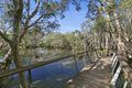 Property photo of 6 Truscot Place Thornlands QLD 4164