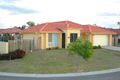 Property photo of 24 Faculty Circuit Meadowbrook QLD 4131