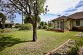 Property photo of 25 Bourke Street Singleton NSW 2330