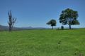Property photo of 3 Mount Barney Road Barney View QLD 4287