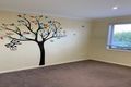 Property photo of 15 Bertha Street Hill Top NSW 2575