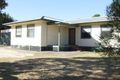 Property photo of 69 Cedar Avenue Naracoorte SA 5271