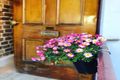 Property photo of 59 Booth Street Annandale NSW 2038