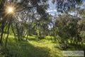 Property photo of 39 Grunters Way Gnarabup WA 6285