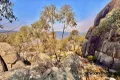 Property photo of 2227 Eukey Road Ballandean QLD 4382