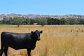 Property photo of 233 Nimbo Road Brungle NSW 2722