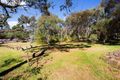 Property photo of 16 Rounsevell Road Williamstown SA 5351