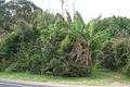 Property photo of 303 Coramba Road Coffs Harbour NSW 2450