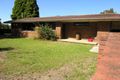 Property photo of 65 First Avenue Campsie NSW 2194