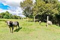 Property photo of 3 Westwood Drive Samford Valley QLD 4520