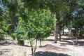 Property photo of 9 Greendale Place Gelorup WA 6230