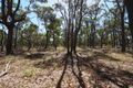 Property photo of LOT 30 Tantaus Road Dereel VIC 3352