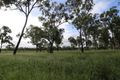 Property photo of 472 Airstrip Road Nebo QLD 4742