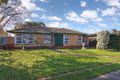 Property photo of 12 Debney Street Fulham Gardens SA 5024