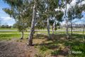 Property photo of 64 Windradyne Street Ngunnawal ACT 2913