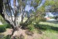 Property photo of 8 Elderberry Circle Halls Head WA 6210
