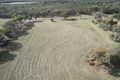 Property photo of 25 Prosser Street Katanning WA 6317