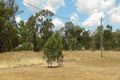 Property photo of 1-3 Cave Street Ganmain NSW 2702