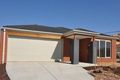 Property photo of 11 Treeviolet Lane Wallan VIC 3756