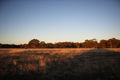 Property photo of 1181 Dunolly-Timor Road Timor VIC 3465