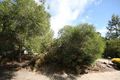 Property photo of 41 Regency Road Happy Valley SA 5159