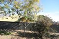 Property photo of 28 Castle Avenue Prospect SA 5082
