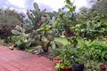 Property photo of 6 Banksia Chase Margaret River WA 6285