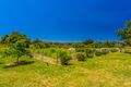 Property photo of 6 Hendersons Lane Gravelly Beach TAS 7276