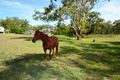 Property photo of 59 Albert Street Stanwell QLD 4702