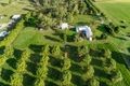 Property photo of 226 Rocky Waterholes-Wollingford Road Greenmount QLD 4751