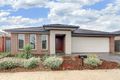 Property photo of 56 Kinglake Drive Manor Lakes VIC 3024