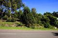 Property photo of 48 Birchgrove Drive Wallsend NSW 2287