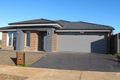 Property photo of 29 Ambervue Drive Cobblebank VIC 3338