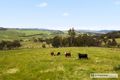 Property photo of 420 Diamond Swamp Road Meadow Flat NSW 2795