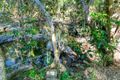 Property photo of 242 Ganyan Drive Speewah QLD 4881