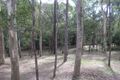 Property photo of 3 Jakes Way Worongary QLD 4213