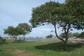 Property photo of 9/112 River Esplanade Mooloolaba QLD 4557